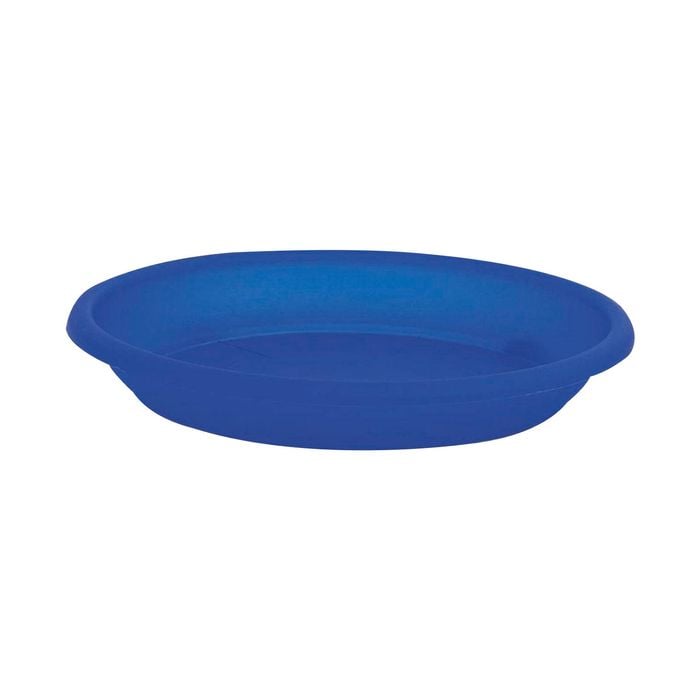 EDEN Blue Transparent Cylinder Saucer - Transparent Blue