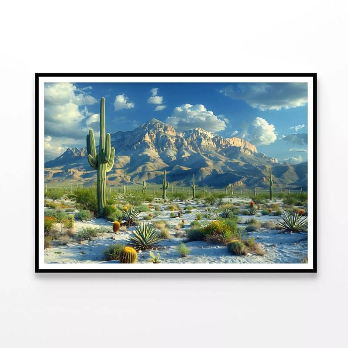 Cactus in the Desert  Print 100% Australian Made 90x60cm  (Poster)