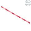 American Diner Style Red & White Striped Reusable Drinking Straws - Pack of 50