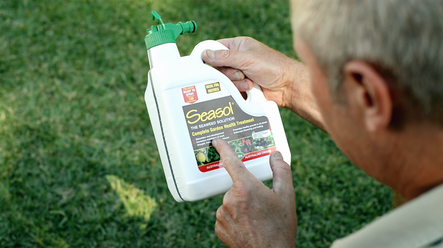 Man reading the label on a bottle of Seasol