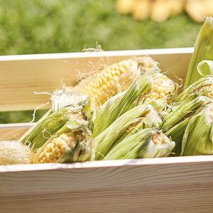 Corn in a box next to a bunnings hat 