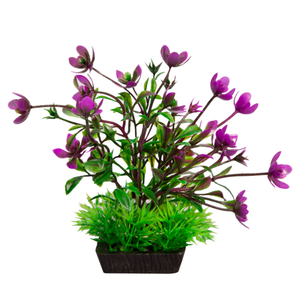 Aqua One Ecoscape Small Rana Digitos Green/Purple (28267)