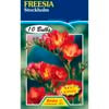 Freesia Stockholm - 10 Bulbs