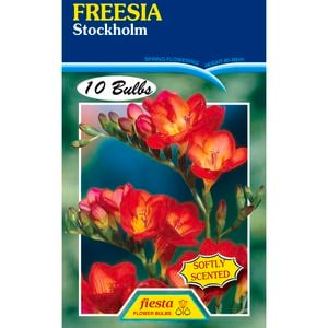 Freesia Stockholm - 10 Bulbs