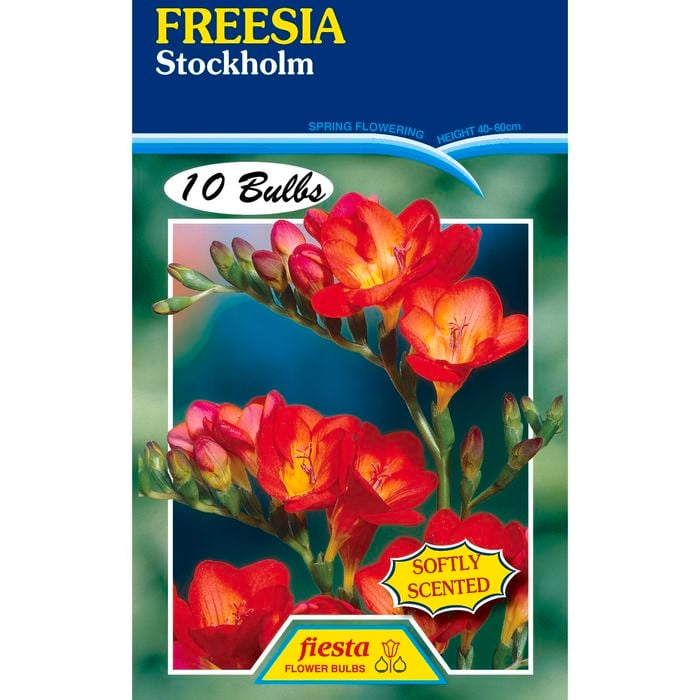 Freesia Stockholm - 10 Bulbs