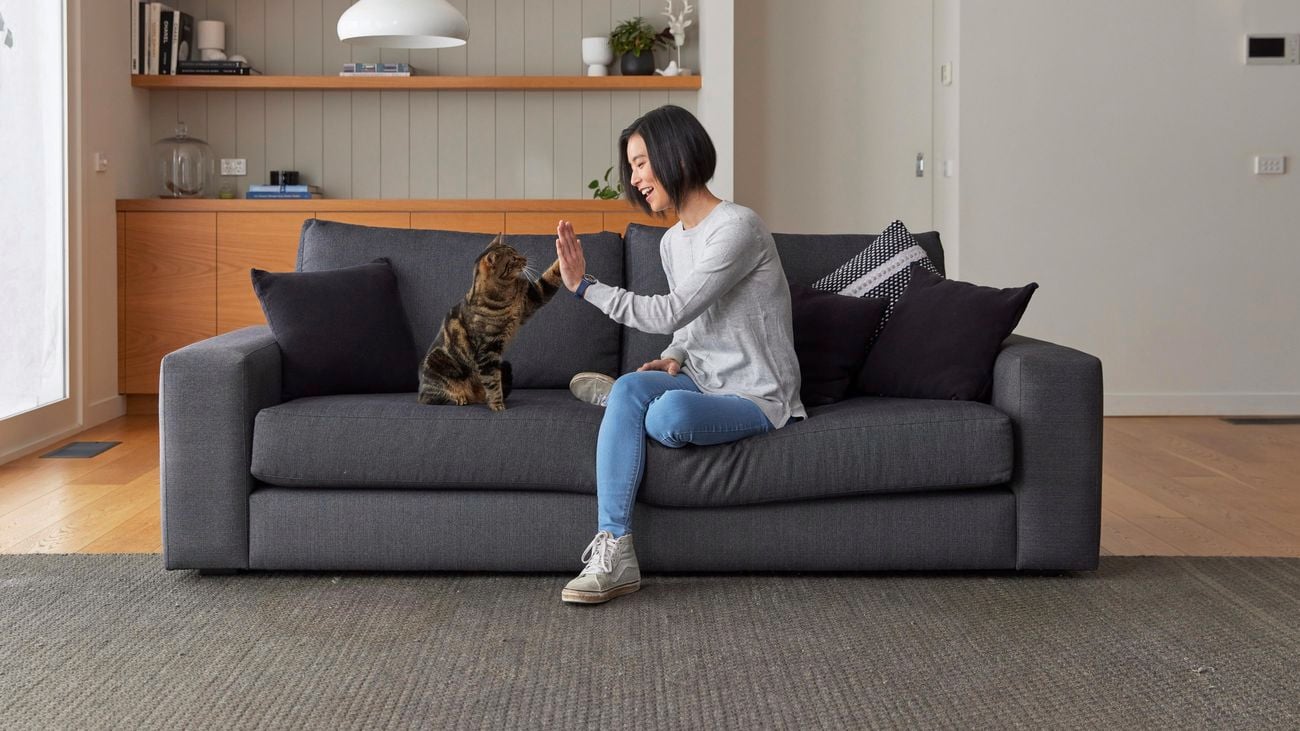 Person sitting on couch with their cat.