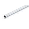 Philips G5 Fluro 830Lm Cool White 15W Tube