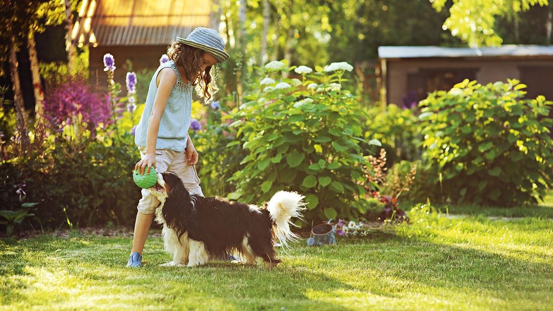 a kid with a dog playing in the lawn