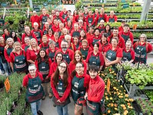 Store image of Sale Bunnings Warehouse