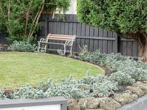 Neat, green circular lawn edged by garden beds