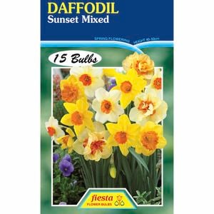 Daffodil Sunset Mix - 15 Bulbs