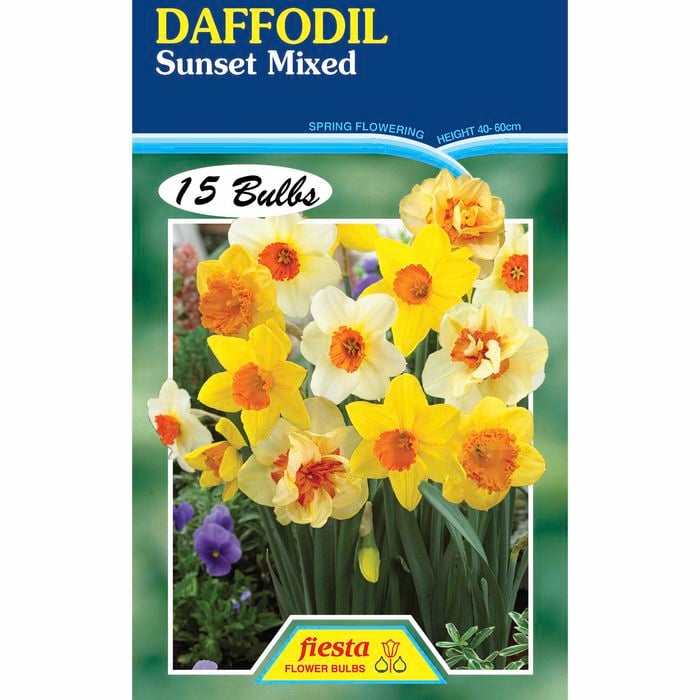 Daffodil Sunset Mix - 15 Bulbs