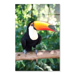 Largest And Best-Known  Print 100% Australian Made 90 x 120cm  (Acrylic)