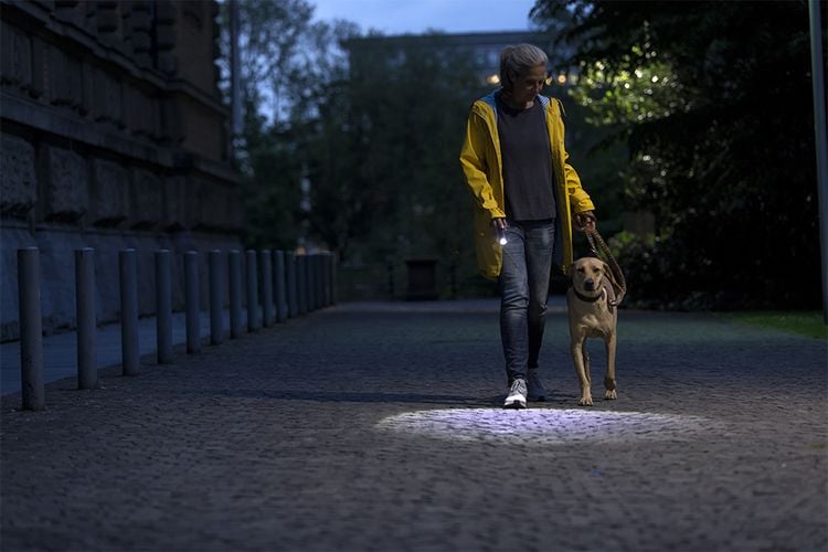 Woman walking her dog at night with a torch on