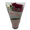 Gardening Solutionz 15cm Ellie & Jake Chrysanthemum Assorted