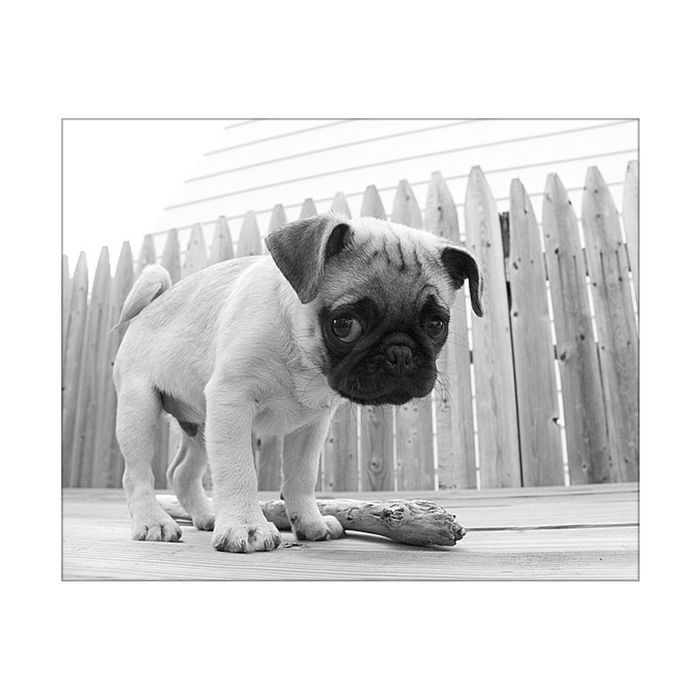 Artey | Bentley - Stretched Canvas - Stretched Canvas - 100 x 125cm