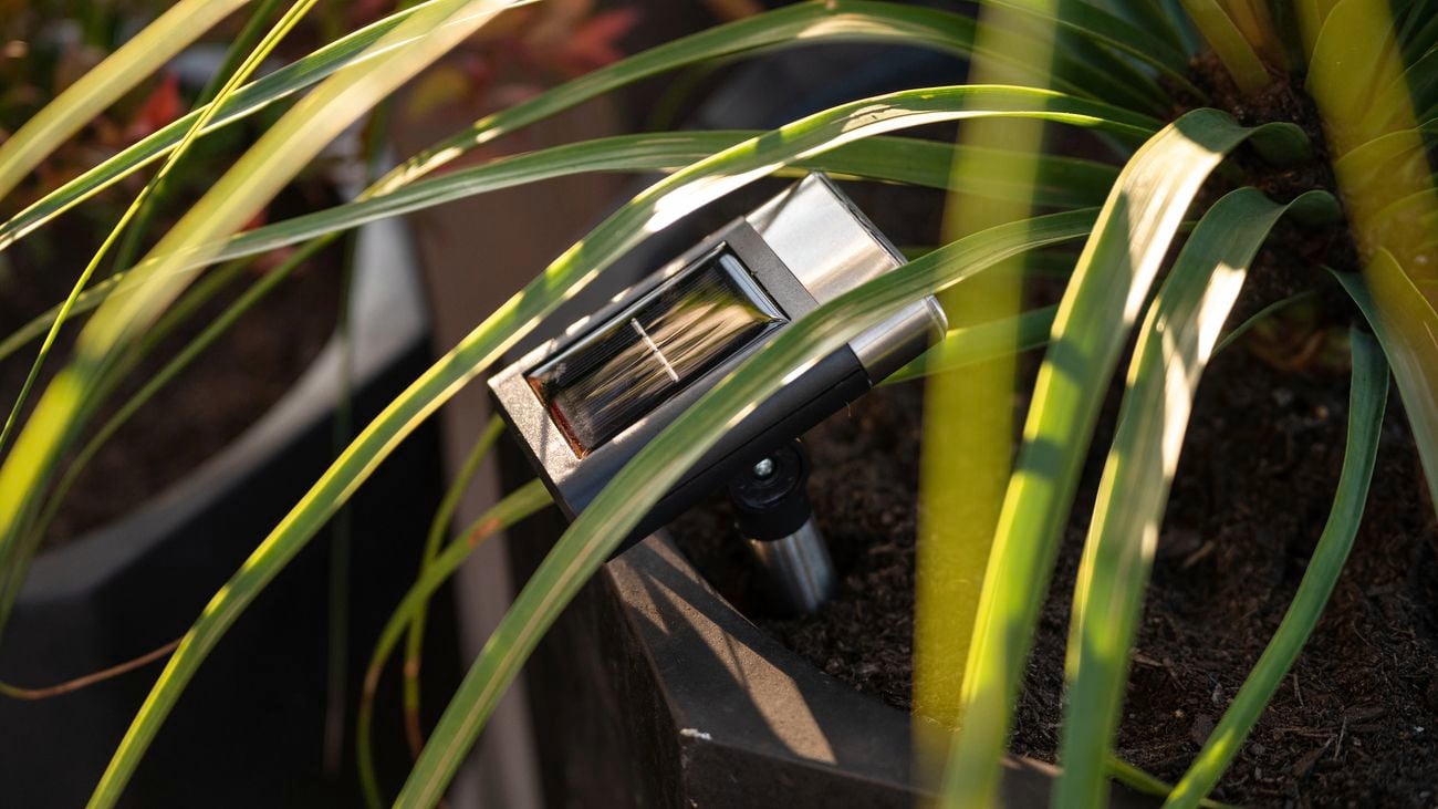 Elevating gardens in 2023: sustainable trends for comfort and style