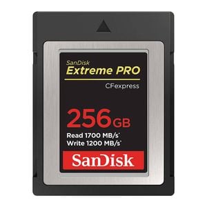 SanDisk Memory Card 256GB CFexpress [SDCFE-256G-GN4NN]