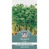 Mr Fothergill's Mustard White Seeds