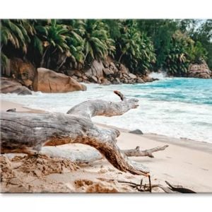 Rocks And Palm Trees, Seychelles  Print 100% Australian Made 150 x 100cm  (Stretched)
