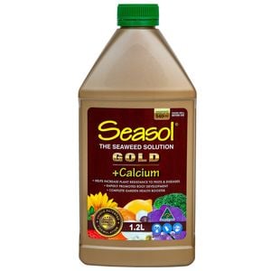 Seasol 1.2L Gold Concentrated Liquid Health Tonic