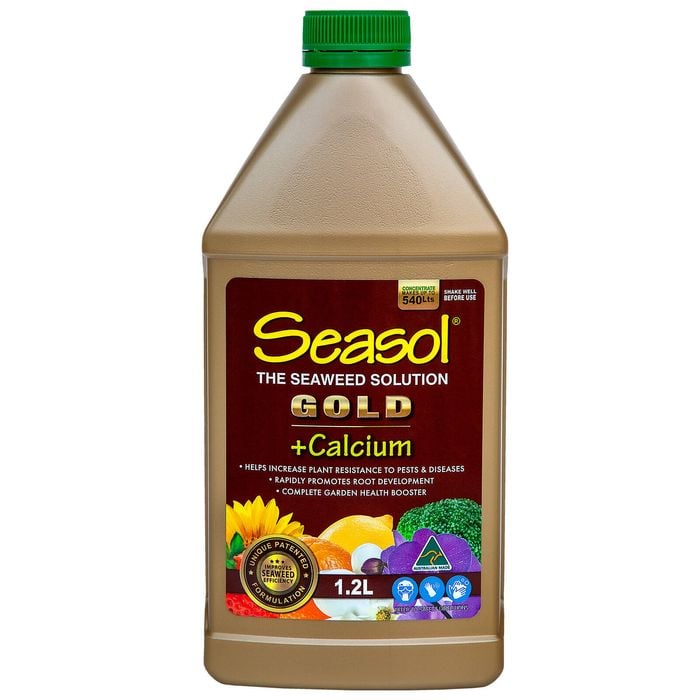 Seasol 1.2L Gold Concentrated Liquid Health Tonic