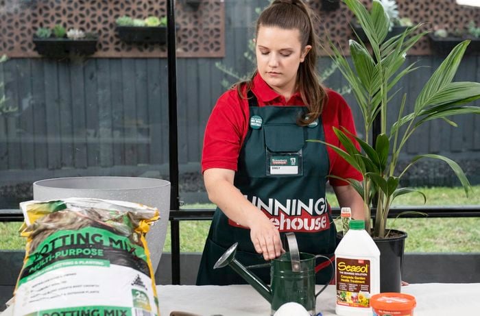 A Bunnings team member with all the materials needed to pot a plant