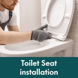 Toilet Seat Installation