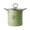 NNEOBA 3L Deep Fryer Pot with Basket Oil Strainer Mini Pasta Pot Green