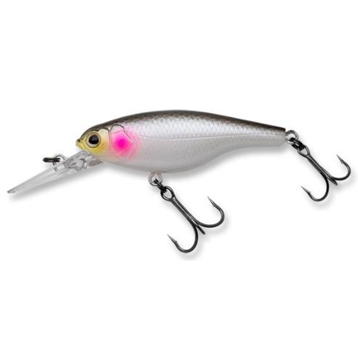 Ecogear SX60 F Hard Body Fishing Lure 556