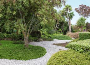 A lush green garden with a central tree, winding gravel path, and dense foliage in the background.