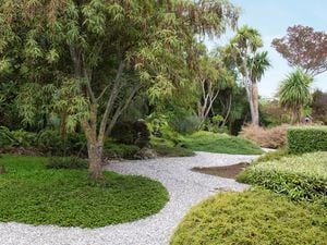 A lush green garden with a central tree, winding gravel path, and dense foliage in the background.
