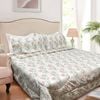 Hotel Living 3 Piece Light Weight Comforter Set Queen Corbett Floral Coral