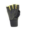 Phoenix Weight Training Gloves-Medium