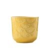 Borralheira 140 x 130mm Yellow Palm Indoor Ceramic Pot