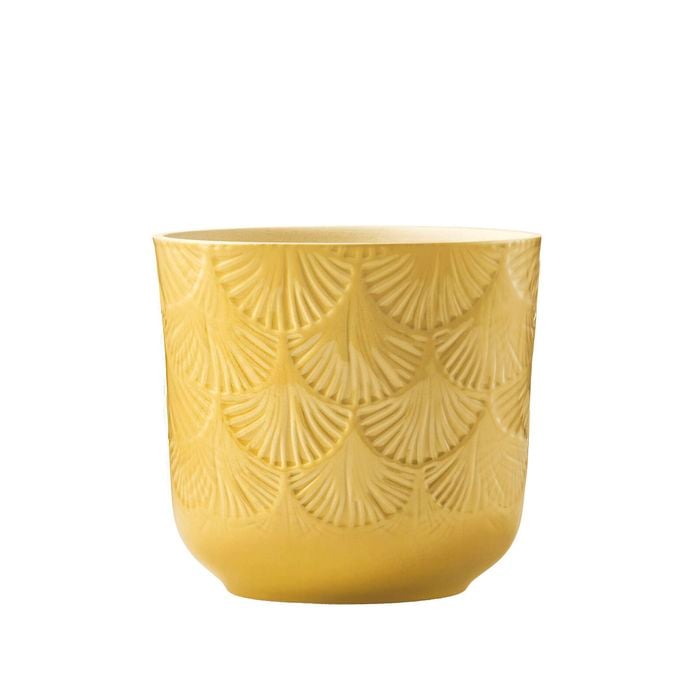 Borralheira 140 x 130mm Yellow Palm Indoor Ceramic Pot