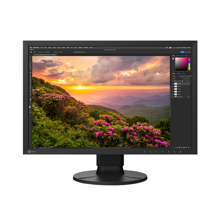Eizo Coloredge CS2400S 24" LED Monitor