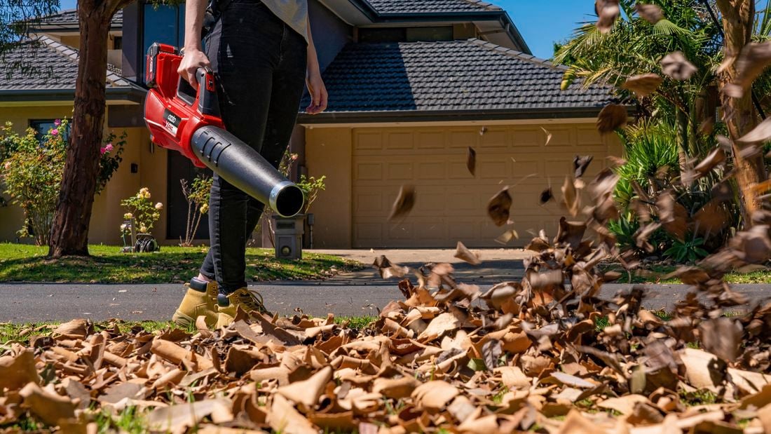 A person cleaning front yard using a Ozito blower.