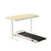 Artiss Electric Treadmill with 120cm Automatic Standing Desk Walking Pad 360mm