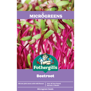 Fothergill's Microgreens Beetroot Seeds