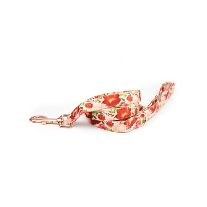 Holly & Co Holly Floral 125cm Stylish Velvet Dog Lead / Leash