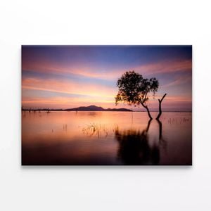 Tree and Lake in the Morning  Print 100% Australian Made 120 x 90cm  (Stretched)