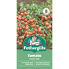 Fothergill's Tomato Cherry Falls Seeds