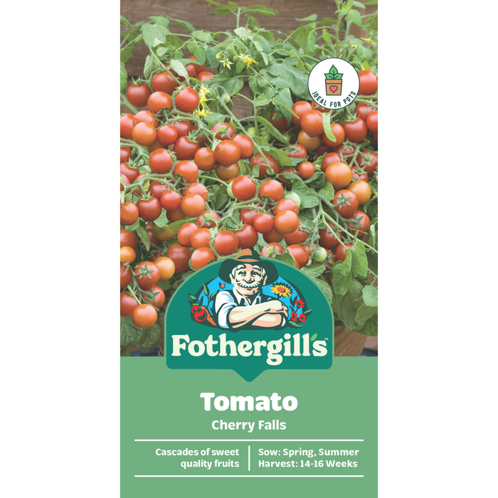 Fothergill's Tomato Cherry Falls Seeds