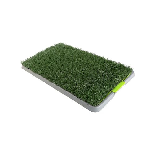 Dog grass mat hotsell