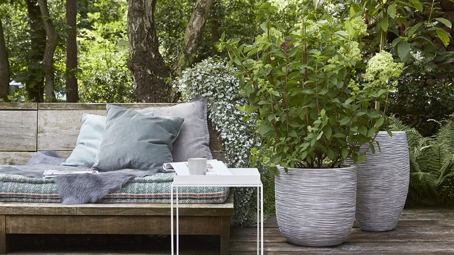 Backyard timber decking with timber lounge and large potted plants