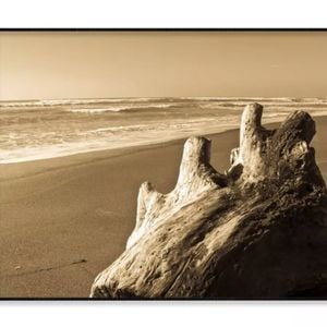 Old Log Driftwood Washed Beach  Print 100% Australian Made 120x90cm  (Poster)