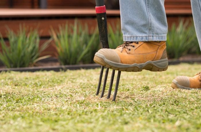 A person wearing sturdy boots is using a garden fork to aerate a lawn