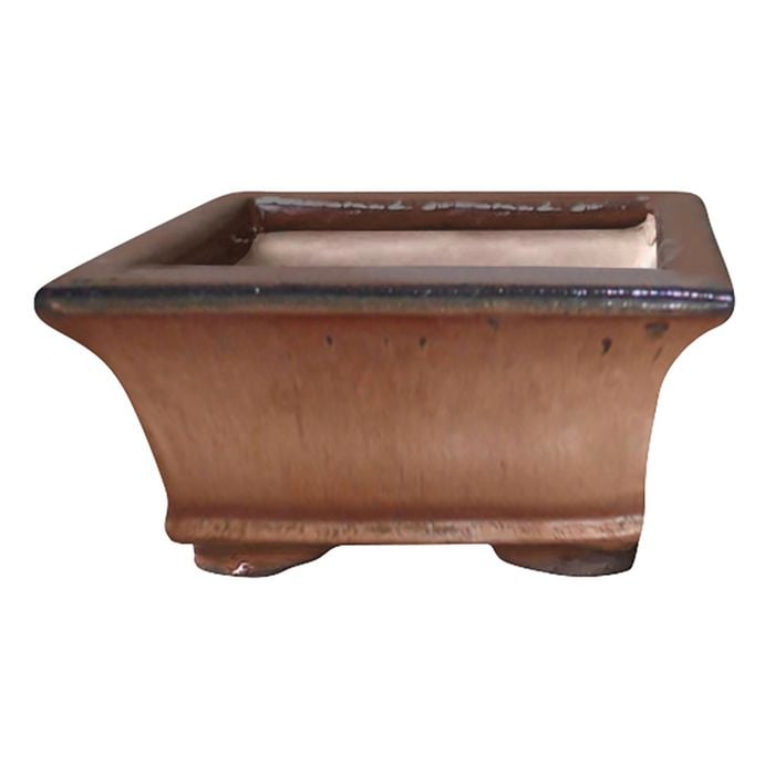 Northcote Pottery 9 x 9 x 5cm Extra Small Copper Square Izumi Bonsai Pot