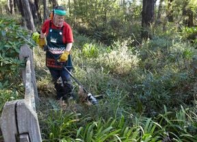 DIY Step Image - How to create a firebreak . Blob storage upload.